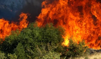 Kırklareli’nde Anızlık Alanda Çıkan Yangın Kontrol Altına Alındı