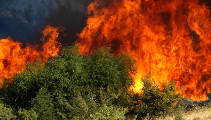 Kırklareli’nde Anızlık Alanda Çıkan Yangın Kontrol Altına Alındı