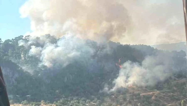 Çanakkale’de Orman Yangını Kontrol Altına Alındı