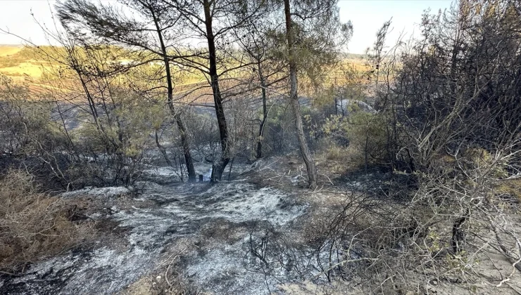 Adana’da Ormanlık Alanda Çıkan Anız Yangını Kontrol Altına Alındı