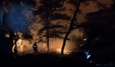 İzmir’de Karşıyaka ilçesinde orman yangını çıktı