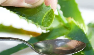 Aloe VeraFaydaları Nelerdir? Aloe Vera Çiçeği Ve Bitkisi Ne İşe Yarar, Yağı Nelerde Kullanılır?