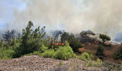 Çanakkale’de tarım arazisinde yangın! Havadan ve karadan müdahale ediliyor