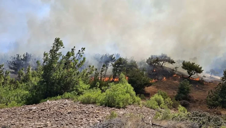 Çanakkale’de tarım arazisinde yangın! Havadan ve karadan müdahale ediliyor